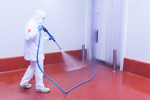 Best Pre-Holiday Cleaning  in Badin, NC